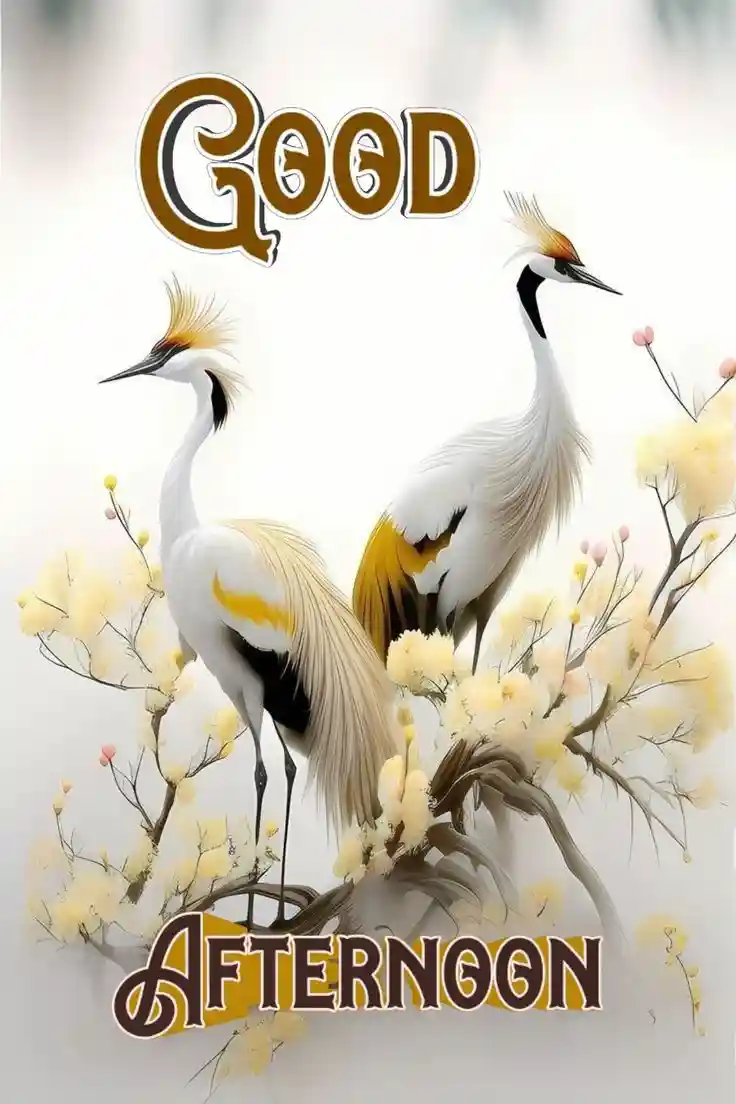 beautiful-good-afternoon-images beautiful-good-afternoon-images