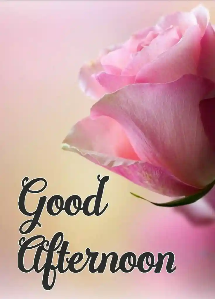 beautiful-good-afternoon-images beautiful-good-afternoon-images