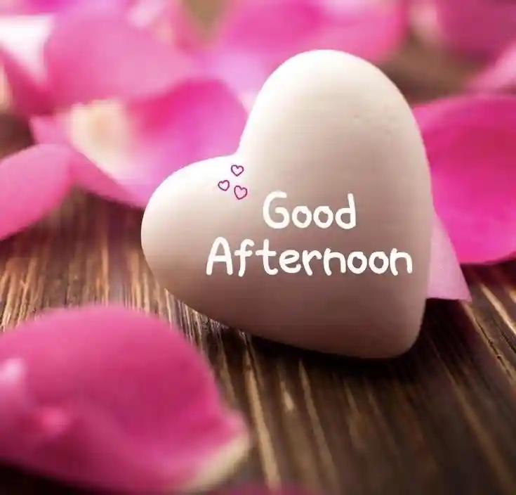 good-afternoon-flowers-images good-afternoon-flowers-images