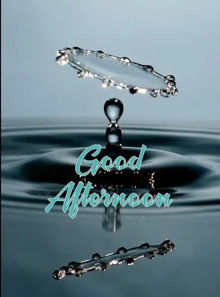 good-afternoon-images-for-whatsapp good-afternoon-images-for-whatsapp