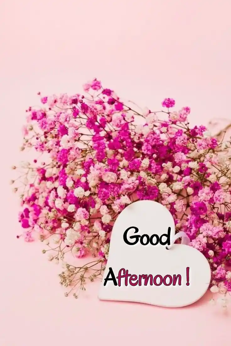 good-afternoon-images good-afternoon-images
