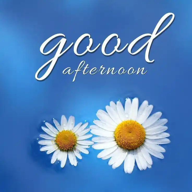 good-afternoon-images - good-afternoon-images -