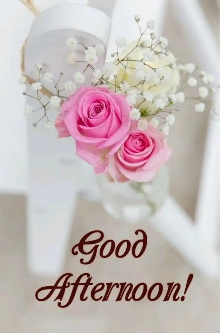 good-afternoon-images good-afternoon-images