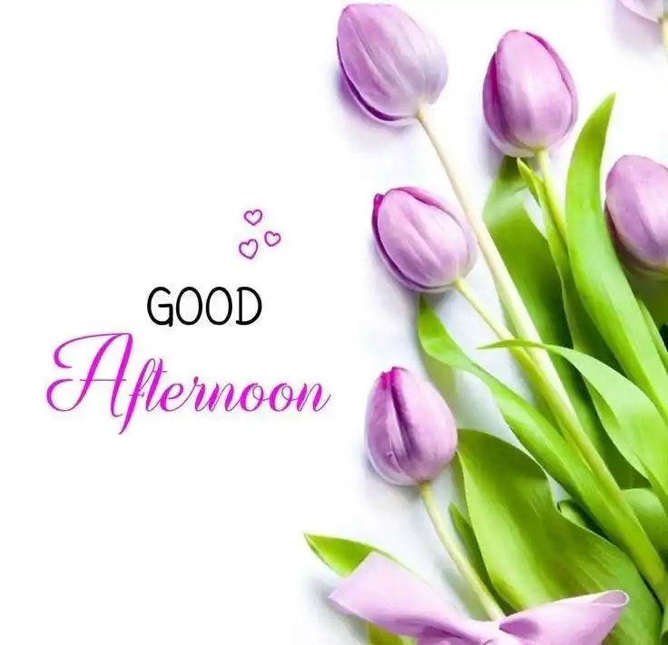 good-afternoon-images good-afternoon-images