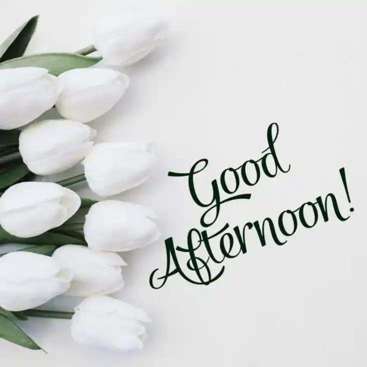 good-afternoon-images good-afternoon-images