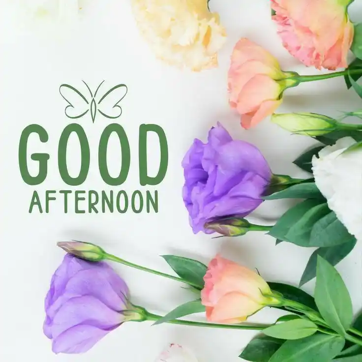 good-afternoon-images good-afternoon-images