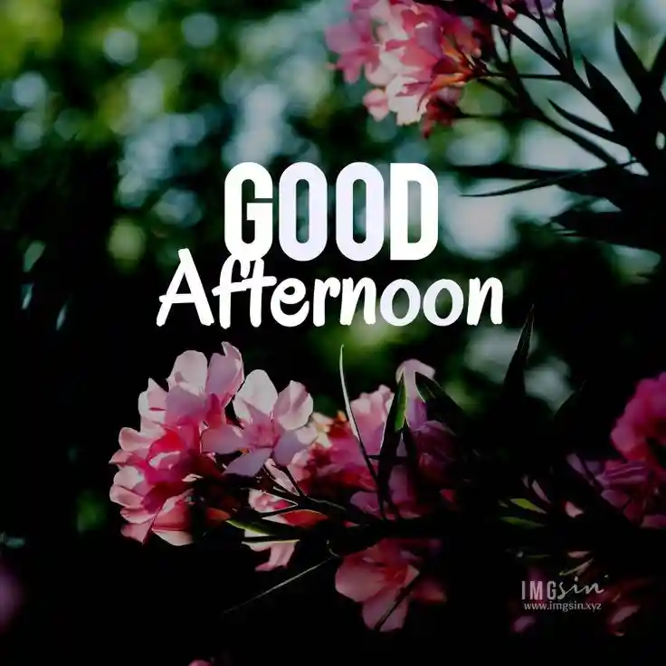 good-afternoon-love-images good-afternoon-love-images