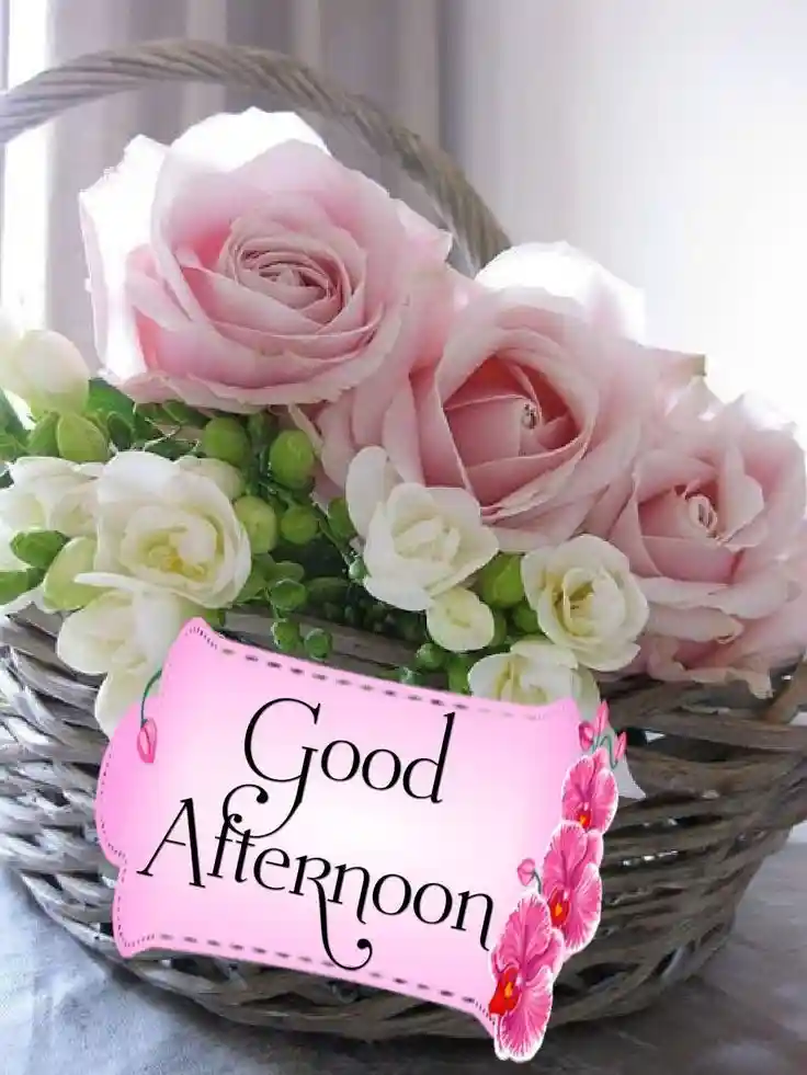 good-afternoon-photos good-afternoon-photos