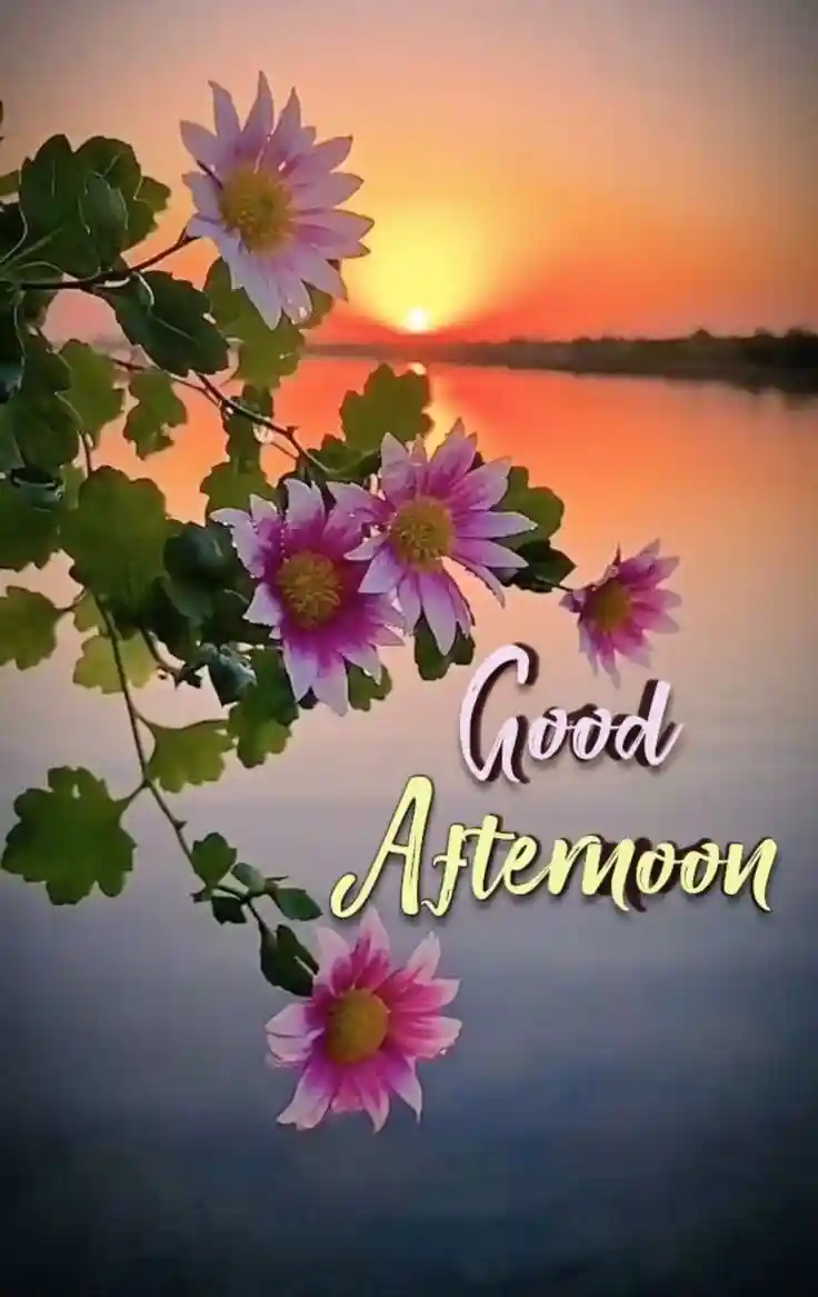 good-afternoon-pictures good-afternoon-pictures