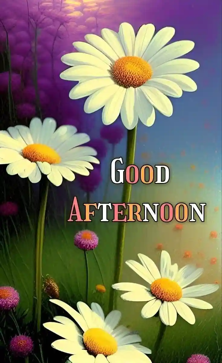 good-afternoon-pictures good-afternoon-pictures