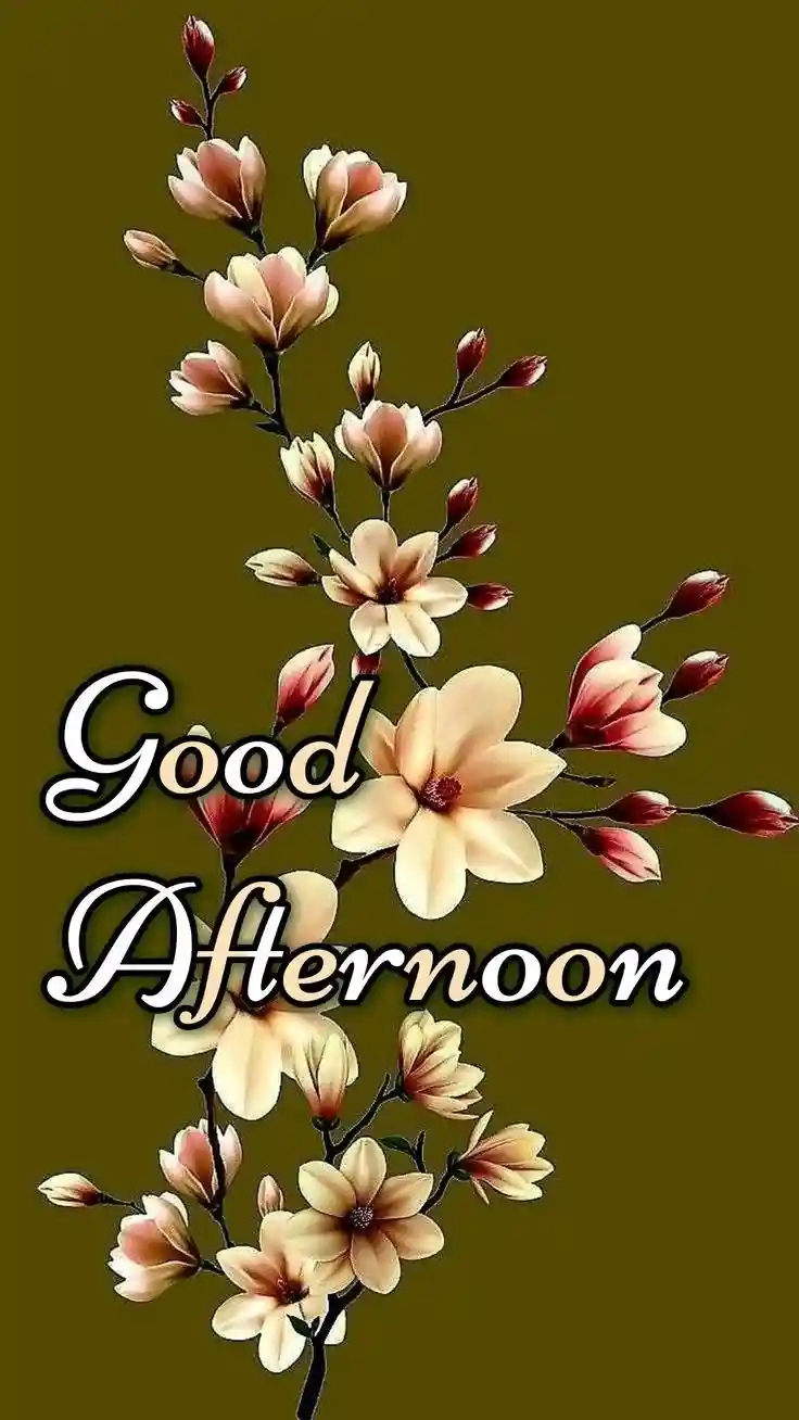 good-afternoon-pictures good-afternoon-pictures