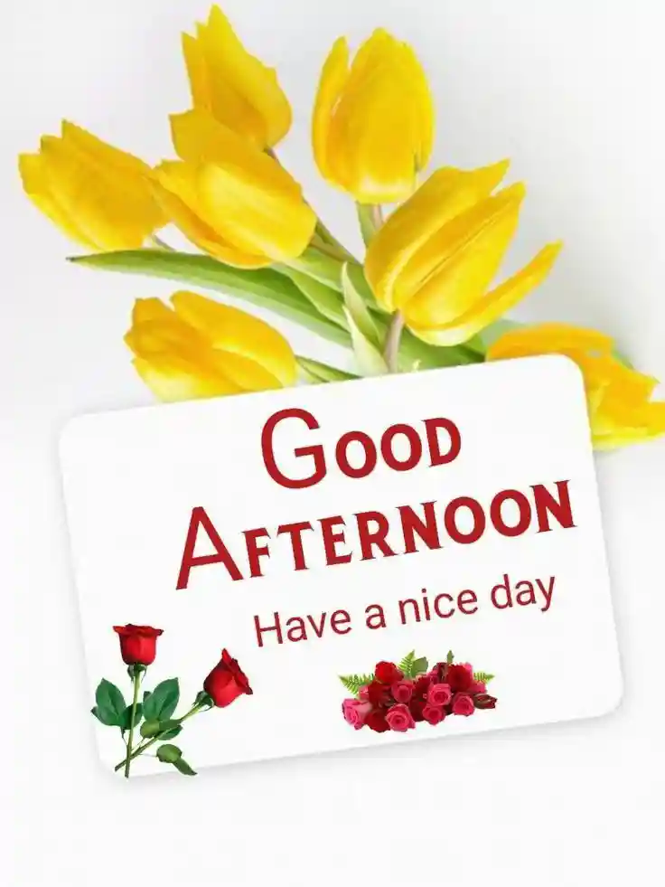 good-afternoon-pictures good-afternoon-pictures