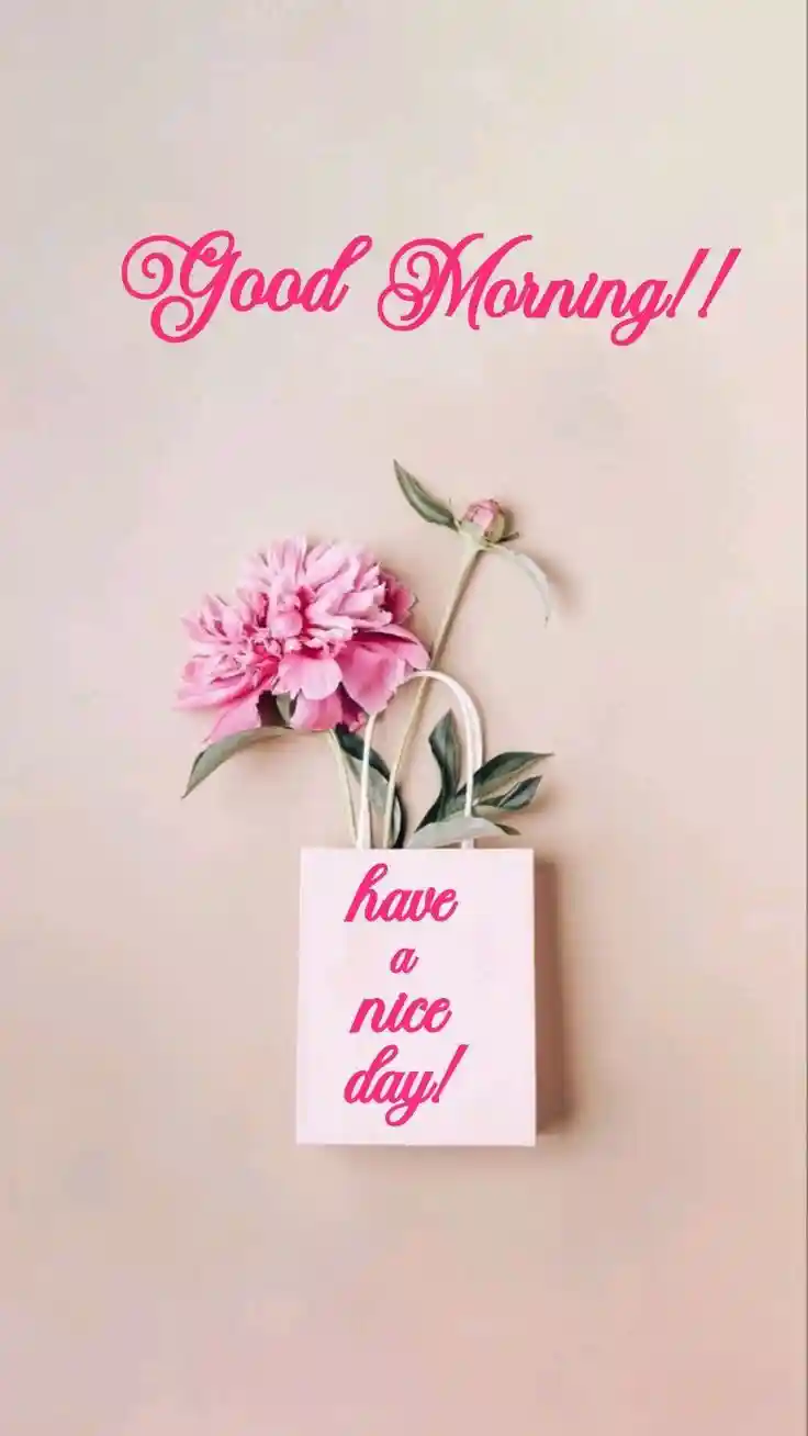 good-morning-flower-images good-morning-flower-images