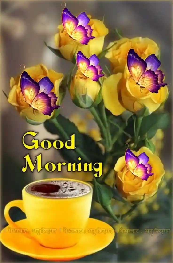 good-morning-flower-images good-morning-flower-images