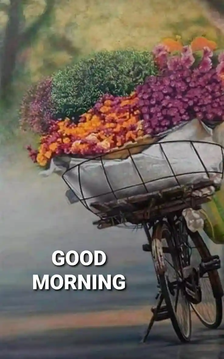 good-morning-pics good-morning-pics