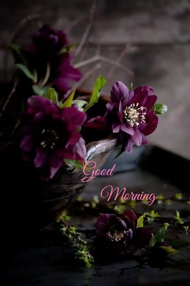 good-morning-pictures good-morning-pictures