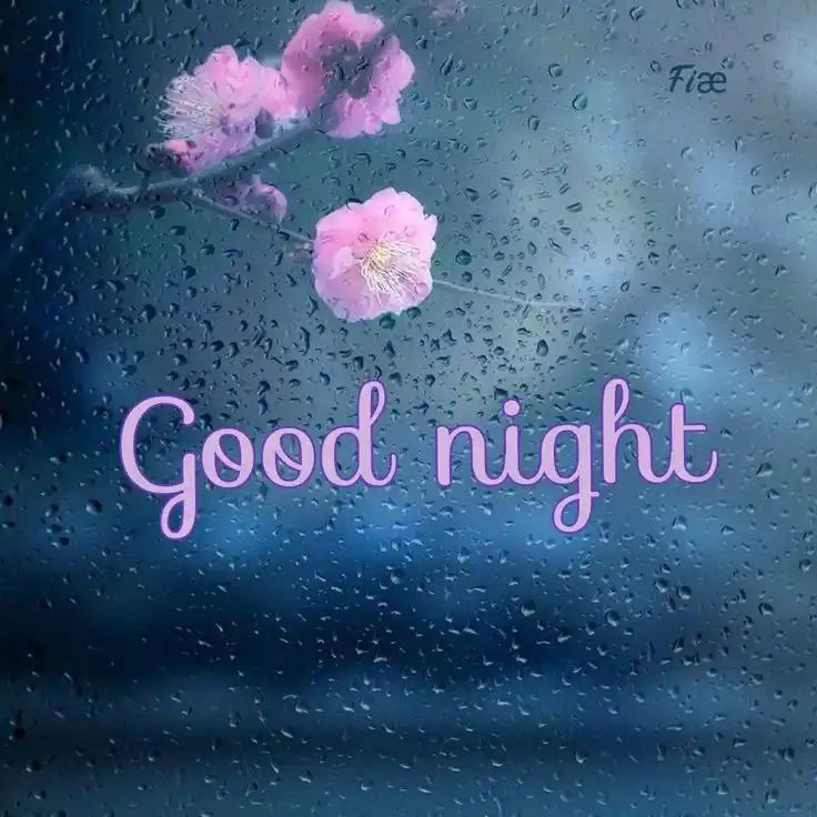 good-night-pictures good-night-pictures