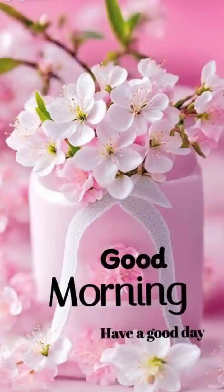 instagram-good-morning-images instagram-good-morning-images