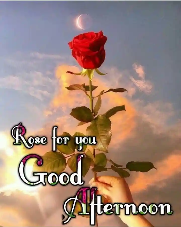 kiss-romantic-good-afternoon-images kiss-romantic-good-afternoon-images