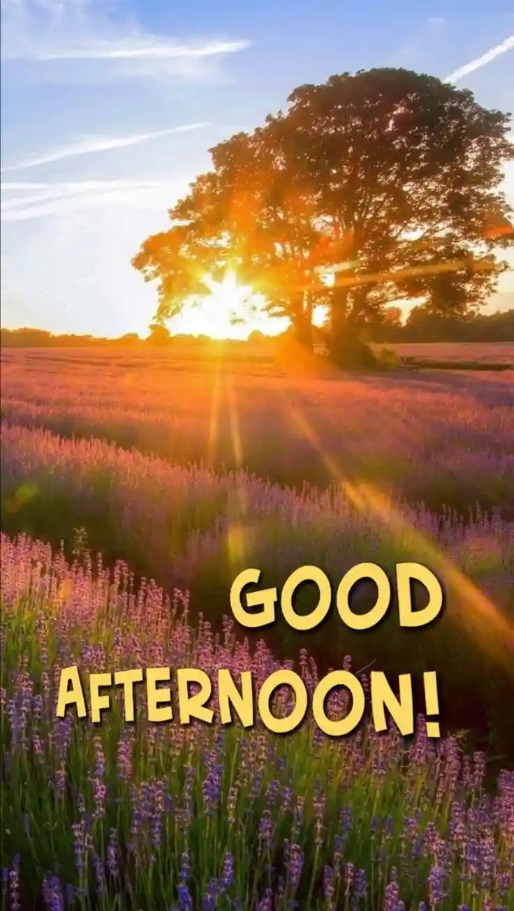 lovely-good-afternoon-images lovely-good-afternoon-images