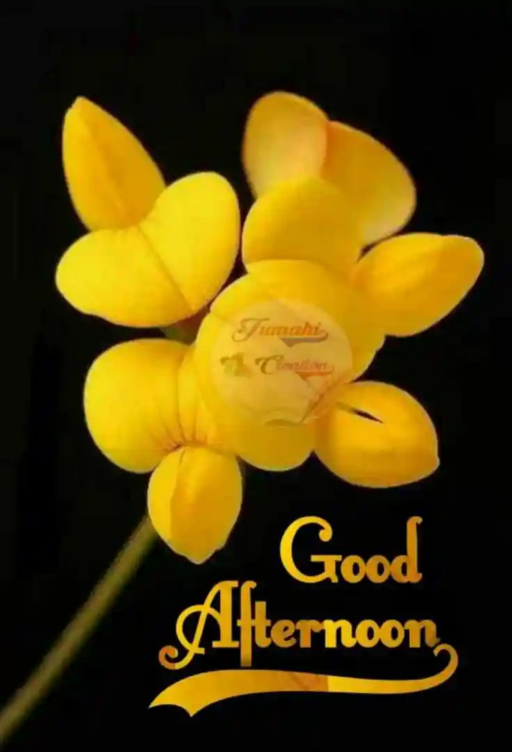 lovely-good-afternoon-images lovely-good-afternoon-images