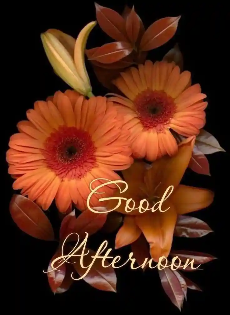 new-good-afternoon-images new-good-afternoon-images