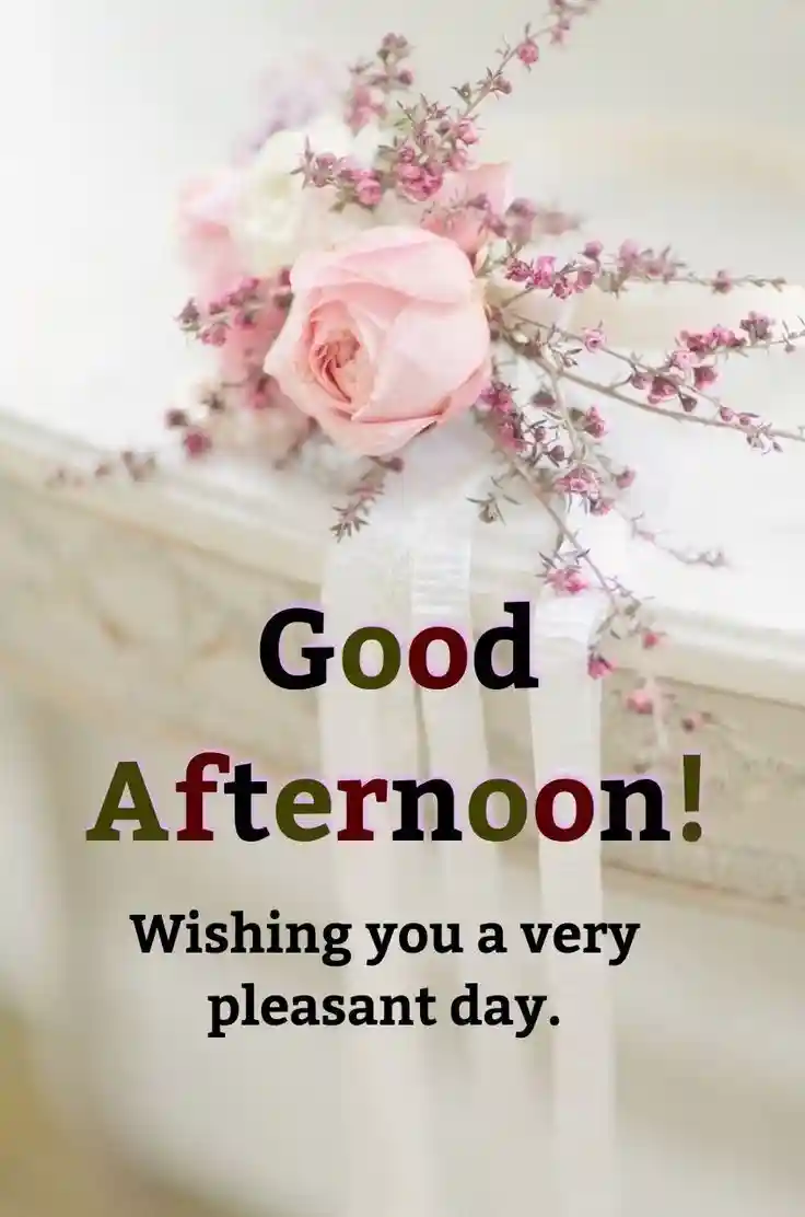new-good-afternoon-images new-good-afternoon-images