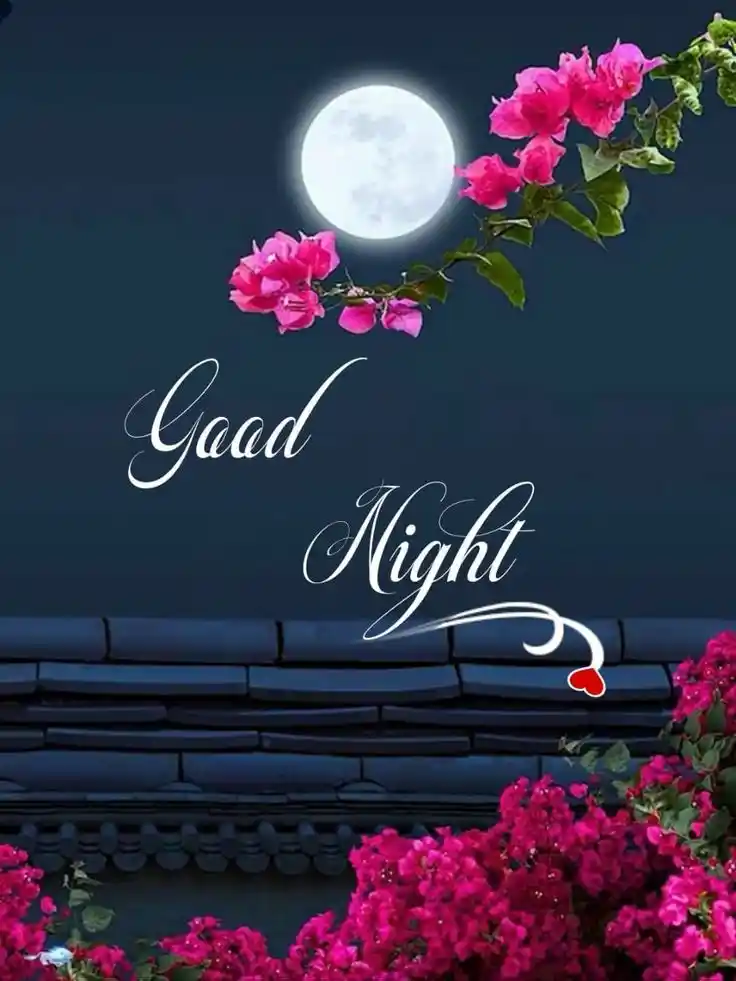 new-good-night-images new-good-night-images